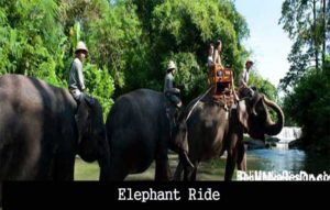 Bali-Elephant-Ride