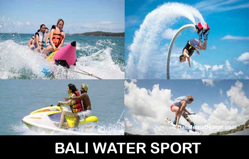 professional bali tour driver-private transport service-transportation service- bali day tours, bali day tour package